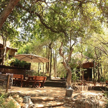 Off Beat Safaris Bush Lodge هويدزبروت المظهر الخارجي الصورة