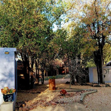 Off Beat Safaris Bush Lodge هويدزبروت المظهر الخارجي الصورة