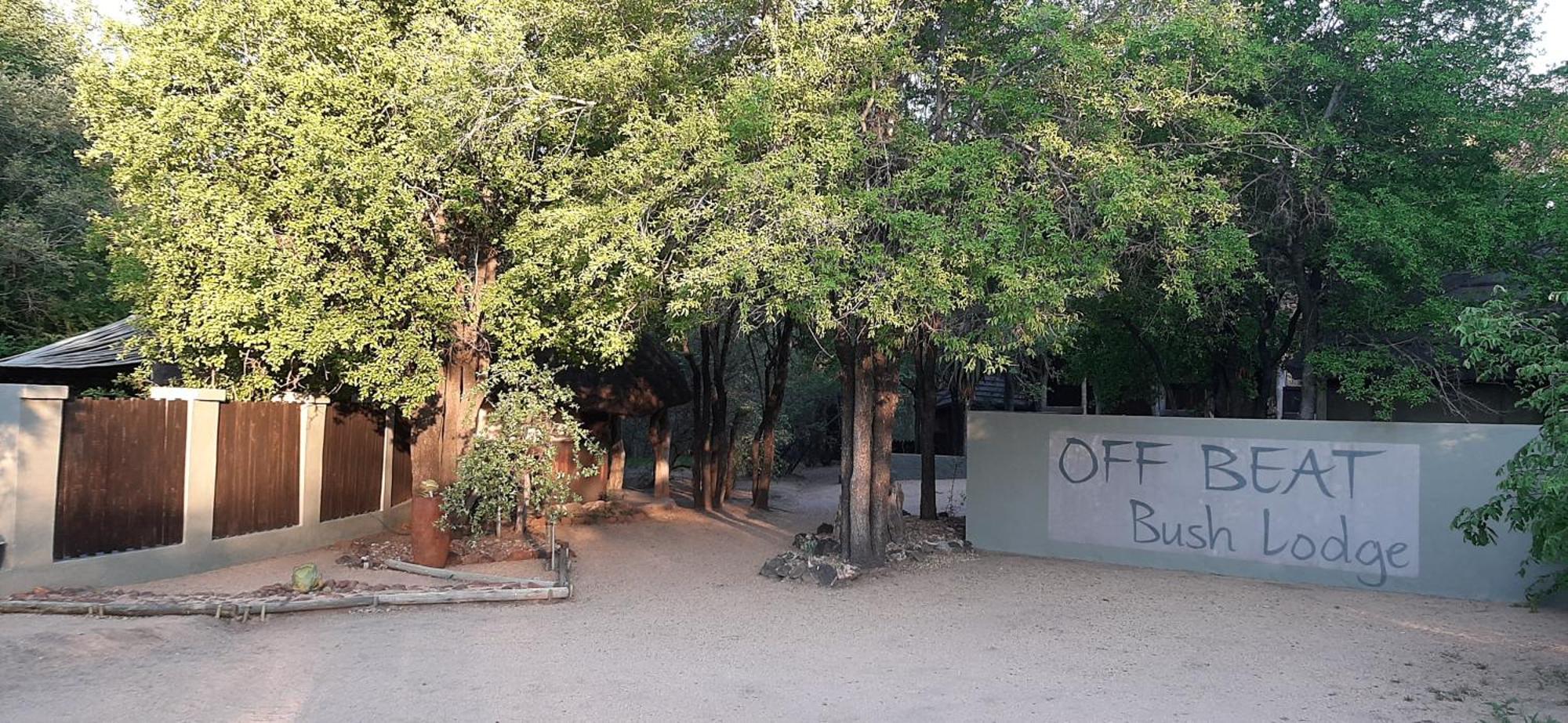 Off Beat Safaris Bush Lodge هويدزبروت المظهر الخارجي الصورة