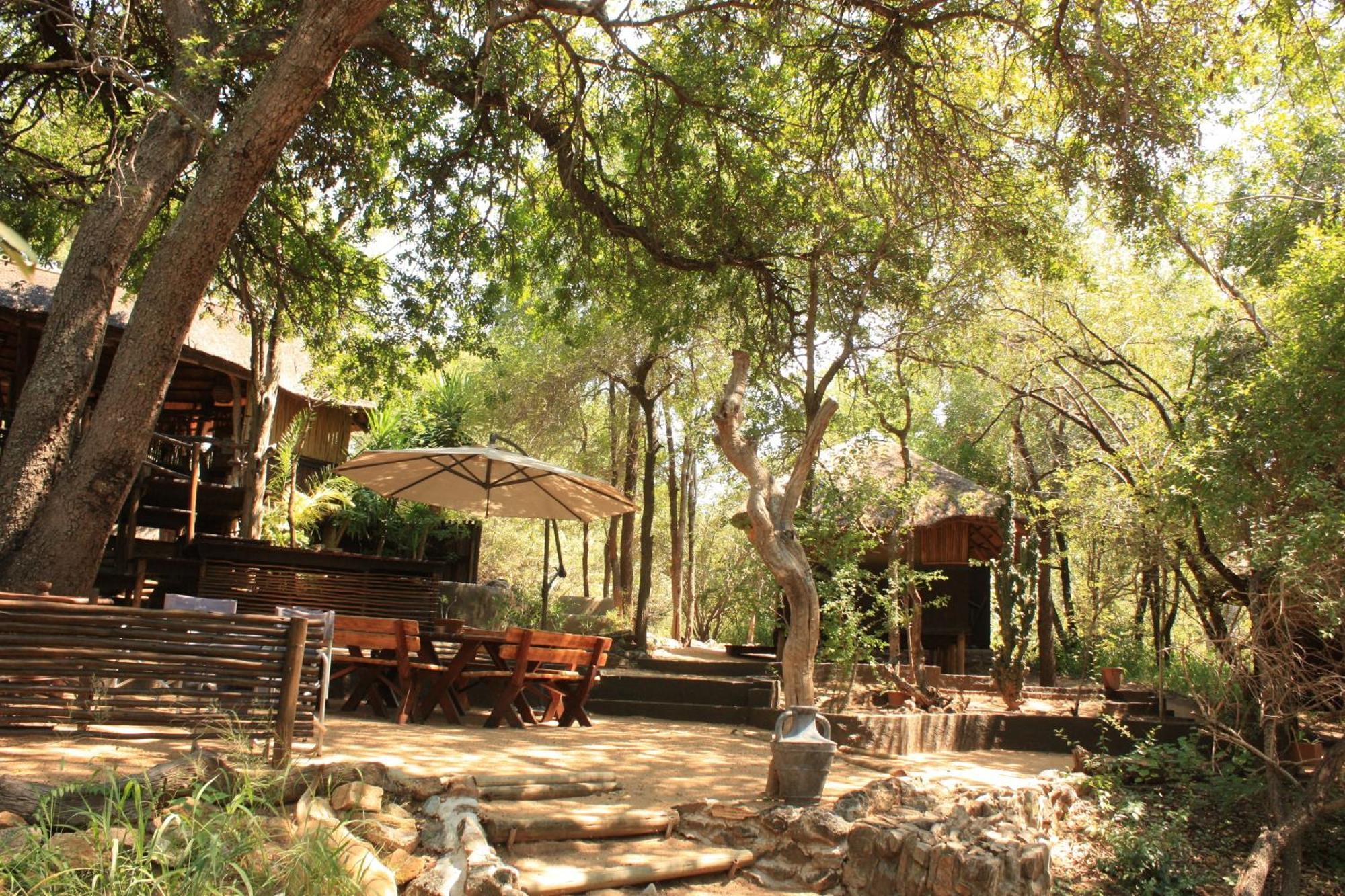 Off Beat Safaris Bush Lodge هويدزبروت المظهر الخارجي الصورة