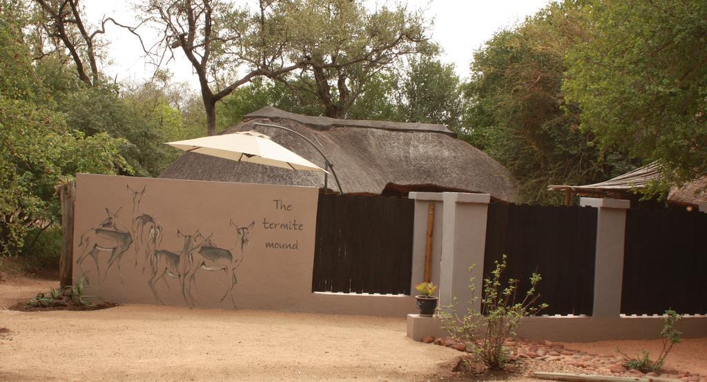 Off Beat Safaris Bush Lodge هويدزبروت المظهر الخارجي الصورة