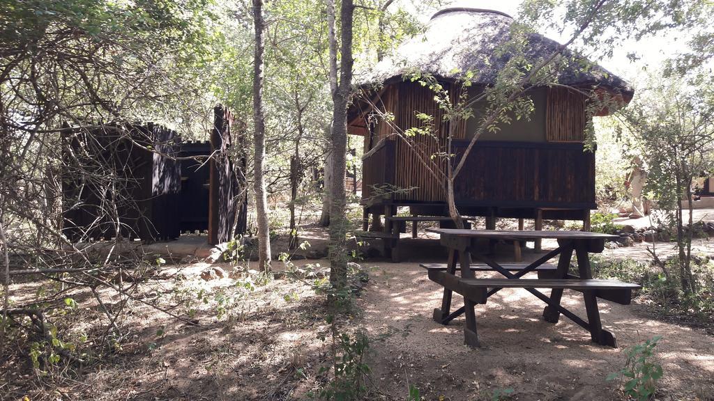 Off Beat Safaris Bush Lodge هويدزبروت المظهر الخارجي الصورة