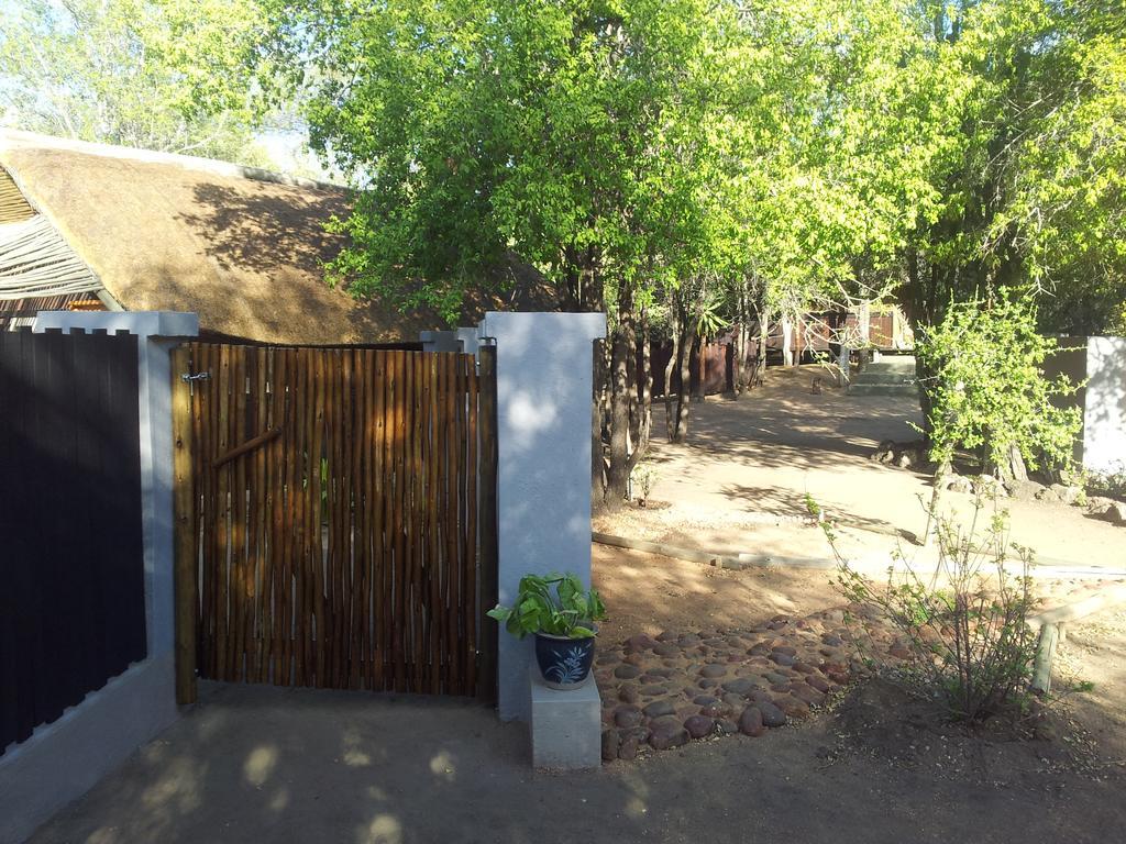 Off Beat Safaris Bush Lodge هويدزبروت المظهر الخارجي الصورة