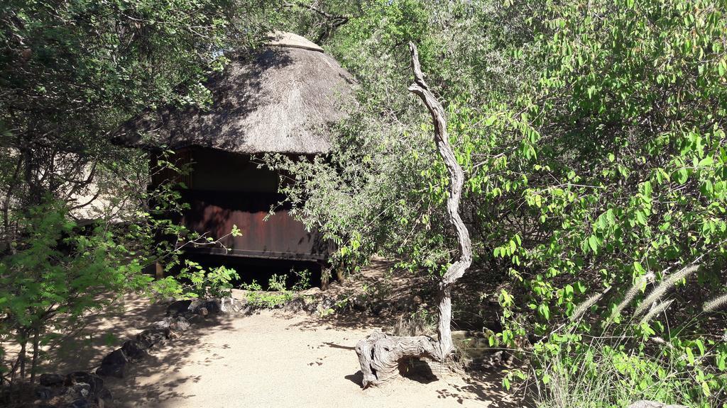 Off Beat Safaris Bush Lodge هويدزبروت المظهر الخارجي الصورة