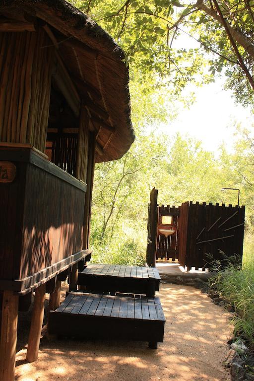 Off Beat Safaris Bush Lodge هويدزبروت الغرفة الصورة