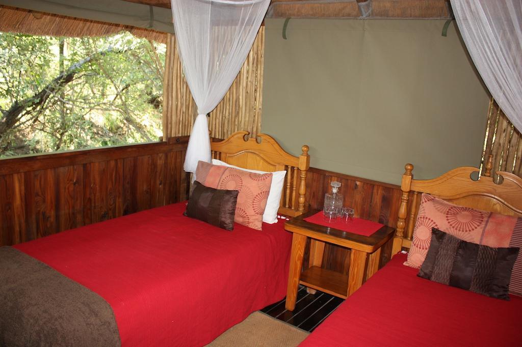 Off Beat Safaris Bush Lodge هويدزبروت الغرفة الصورة