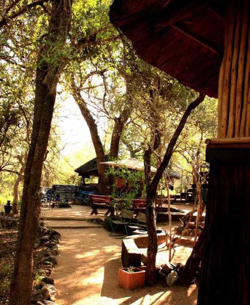 Off Beat Safaris Bush Lodge هويدزبروت المظهر الخارجي الصورة