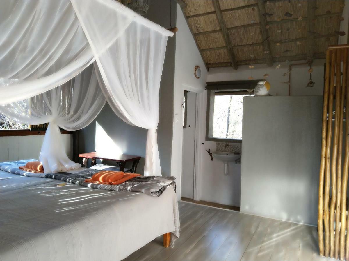 Off Beat Safaris Bush Lodge هويدزبروت المظهر الخارجي الصورة