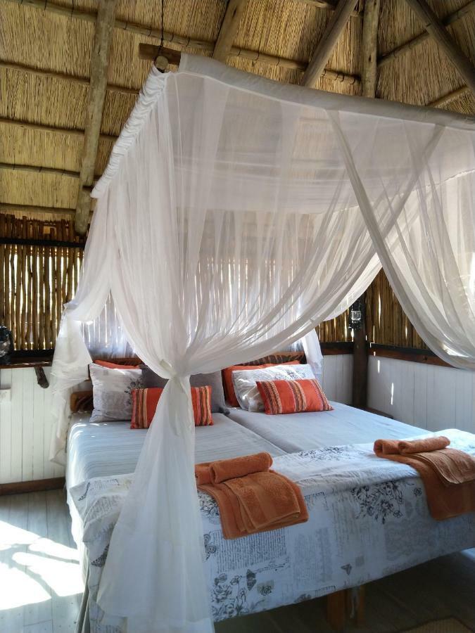 Off Beat Safaris Bush Lodge هويدزبروت المظهر الخارجي الصورة