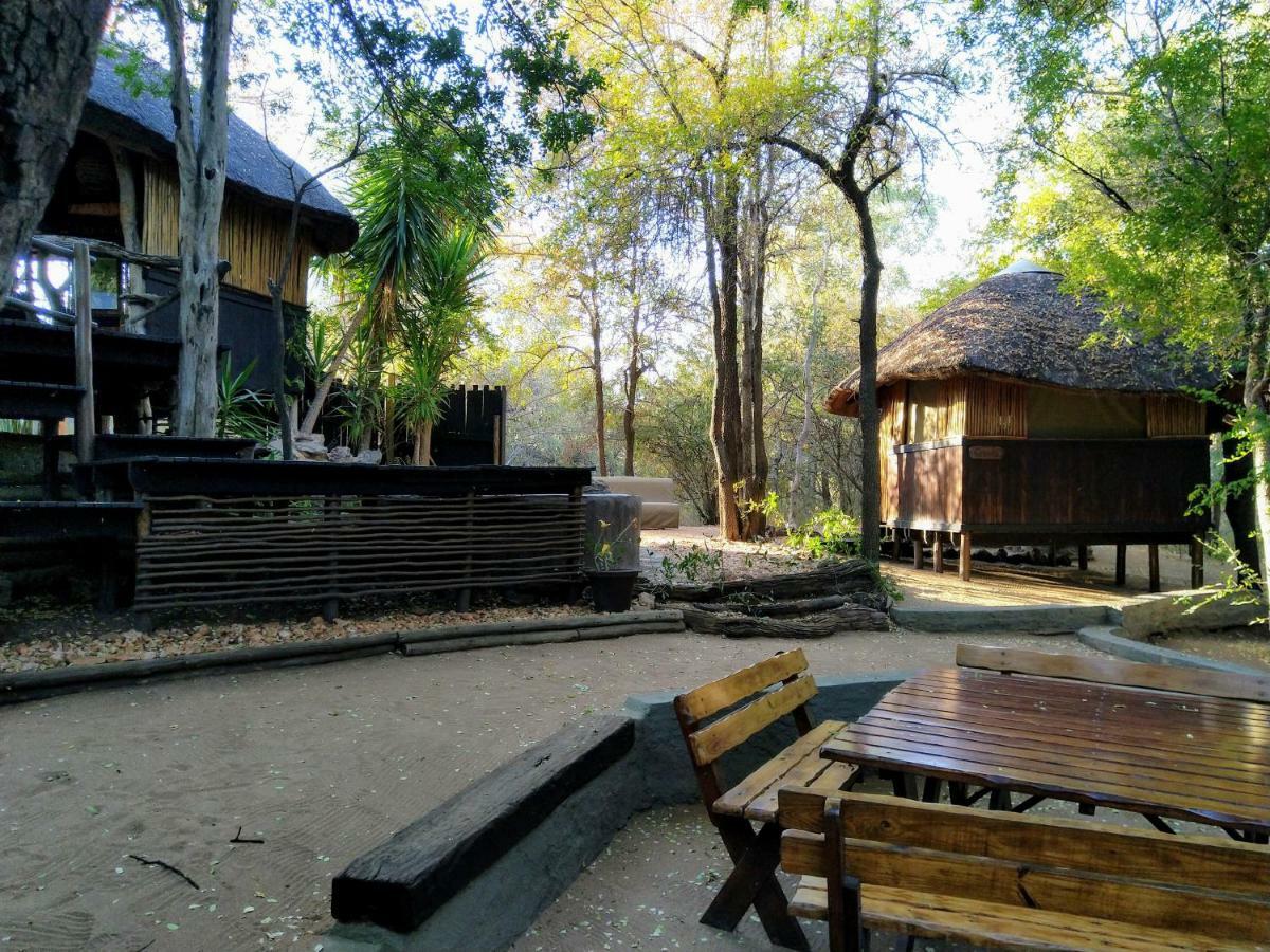 Off Beat Safaris Bush Lodge هويدزبروت المظهر الخارجي الصورة