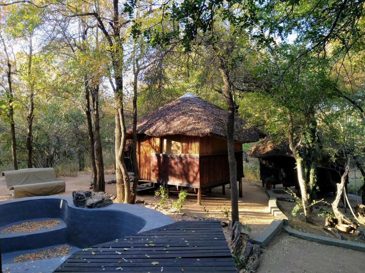 Off Beat Safaris Bush Lodge هويدزبروت المظهر الخارجي الصورة