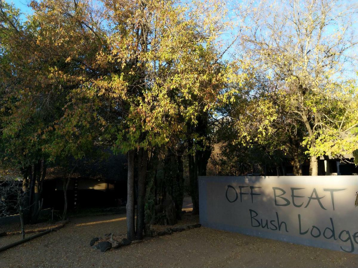 Off Beat Safaris Bush Lodge هويدزبروت المظهر الخارجي الصورة