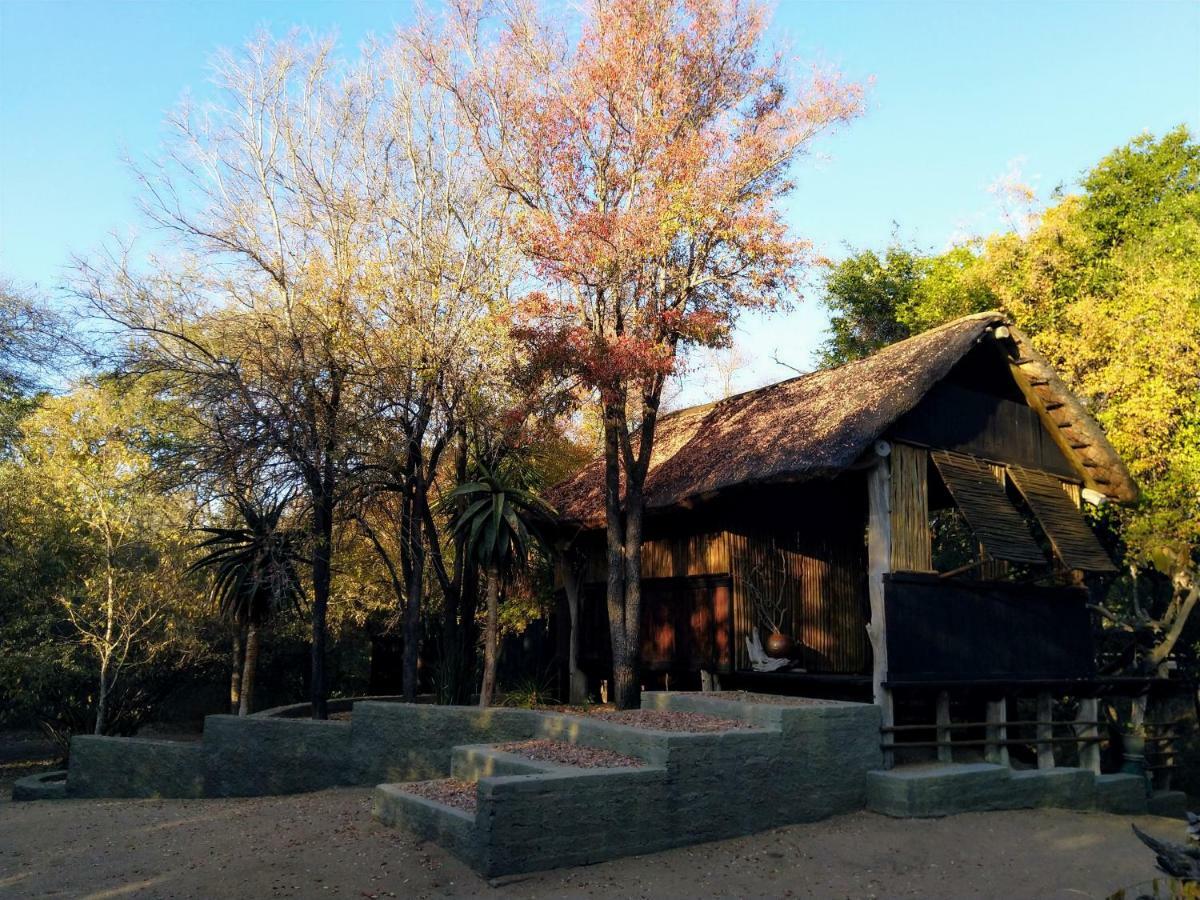 Off Beat Safaris Bush Lodge هويدزبروت المظهر الخارجي الصورة