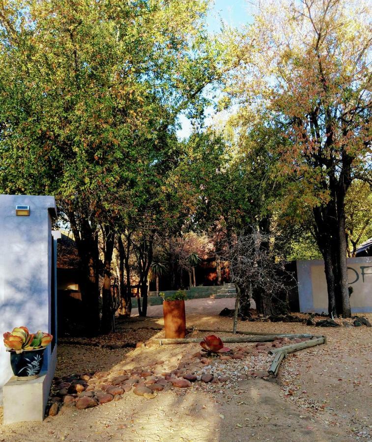 Off Beat Safaris Bush Lodge هويدزبروت المظهر الخارجي الصورة
