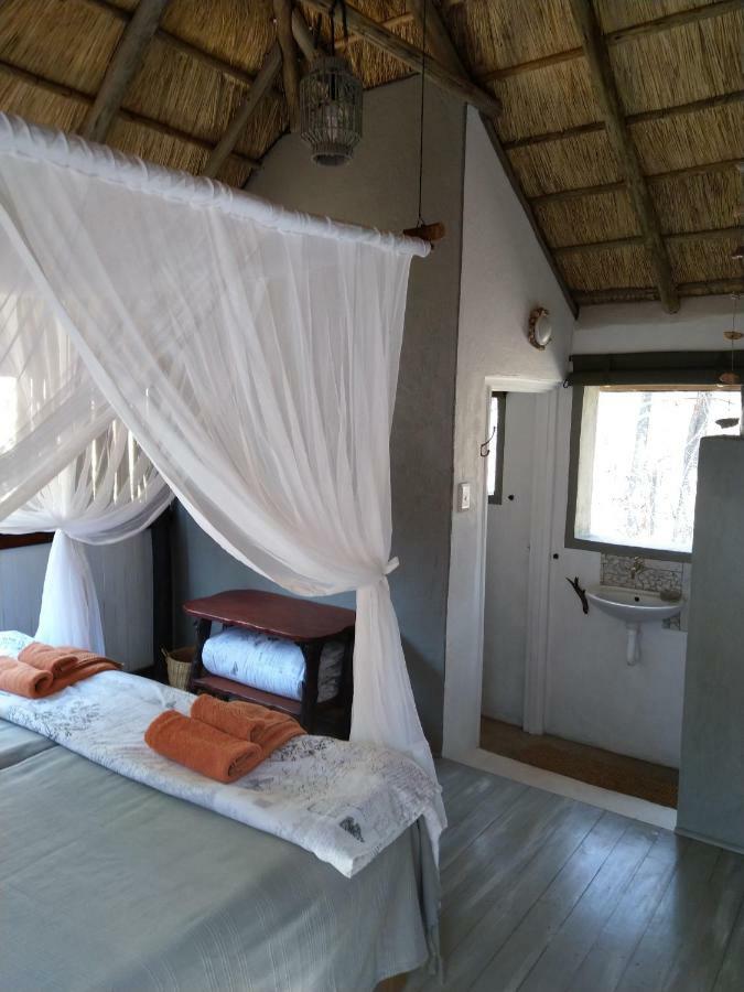 Off Beat Safaris Bush Lodge هويدزبروت المظهر الخارجي الصورة